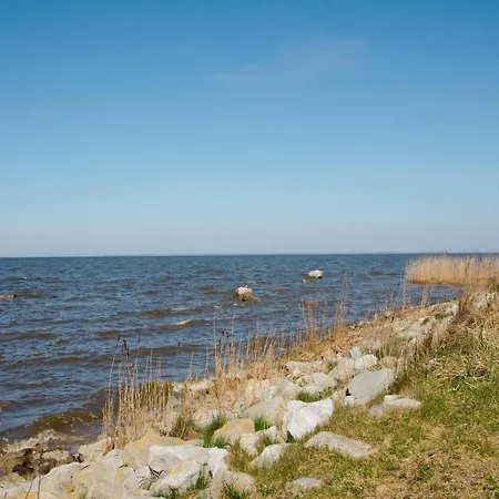 In Near Harbor * Nowe Warpno